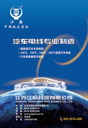 江蘇江揚(yáng)線(xiàn)纜有限公司